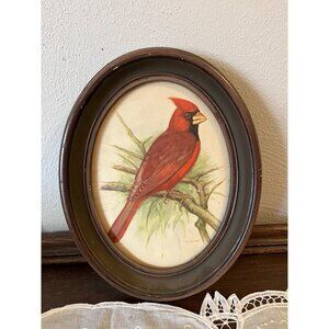 Vintage Cardinal Print in Oval Frame